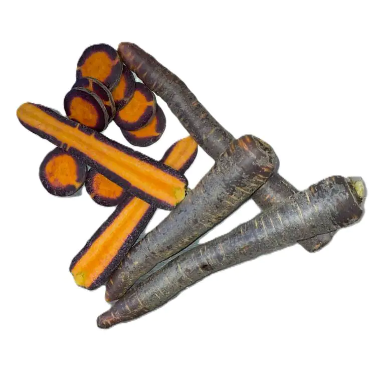 purple carrot.webp